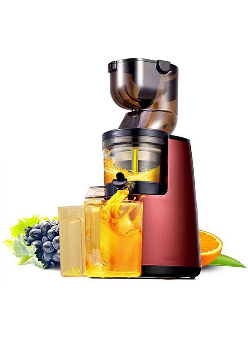 Masticating Juicer Slow Juicer | 150W |80MM Big Wide Mouth